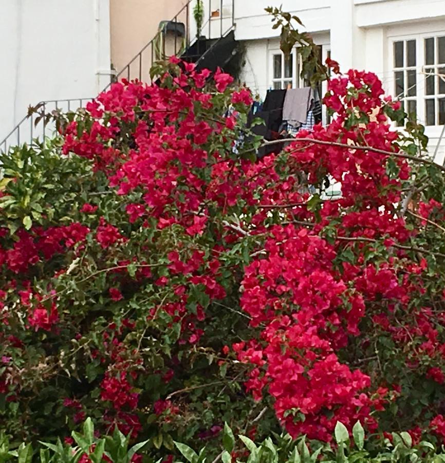 Flores Lisboa Екстериор снимка